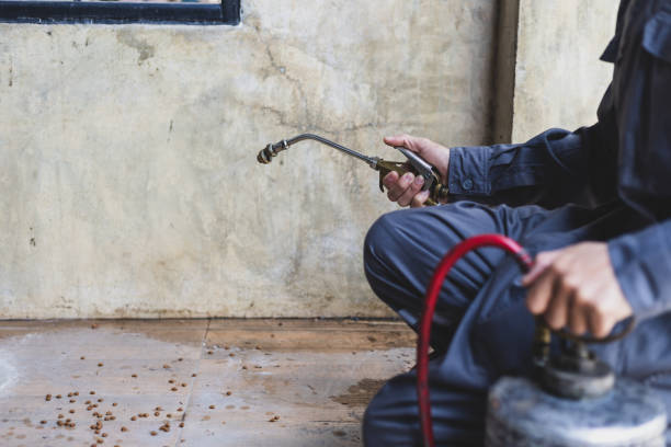 Pest Prevention Services in Onset, MA